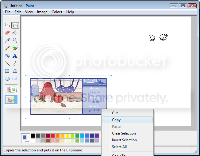 User Image